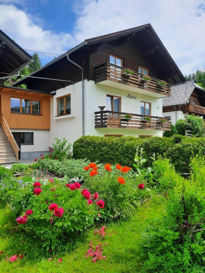 דירות וויסנסי Haus Alpina מראה חיצוני תמונה